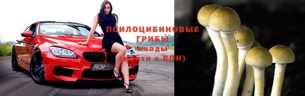 синтетический гашиш Алексеевка