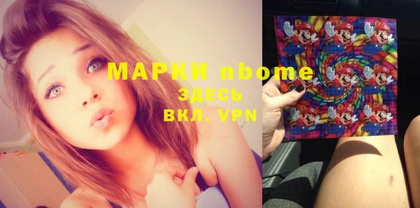 гашик Осинники