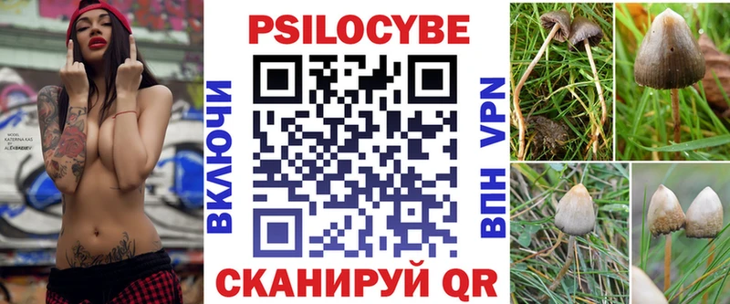 где можно купить наркотик  Менделеевск  Псилоцибиновые грибы GOLDEN TEACHER 